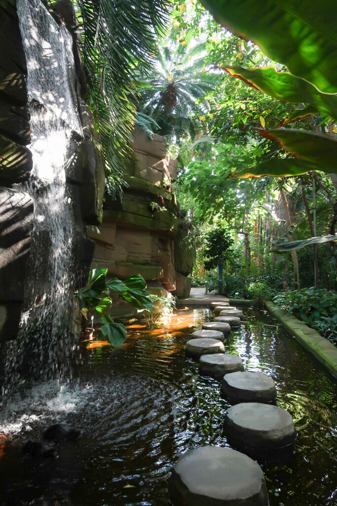 Tropenbild mit Wasserfall und Steinen