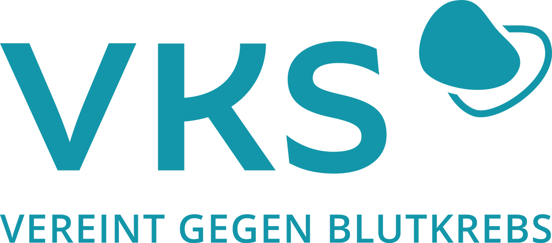 VKS Logo