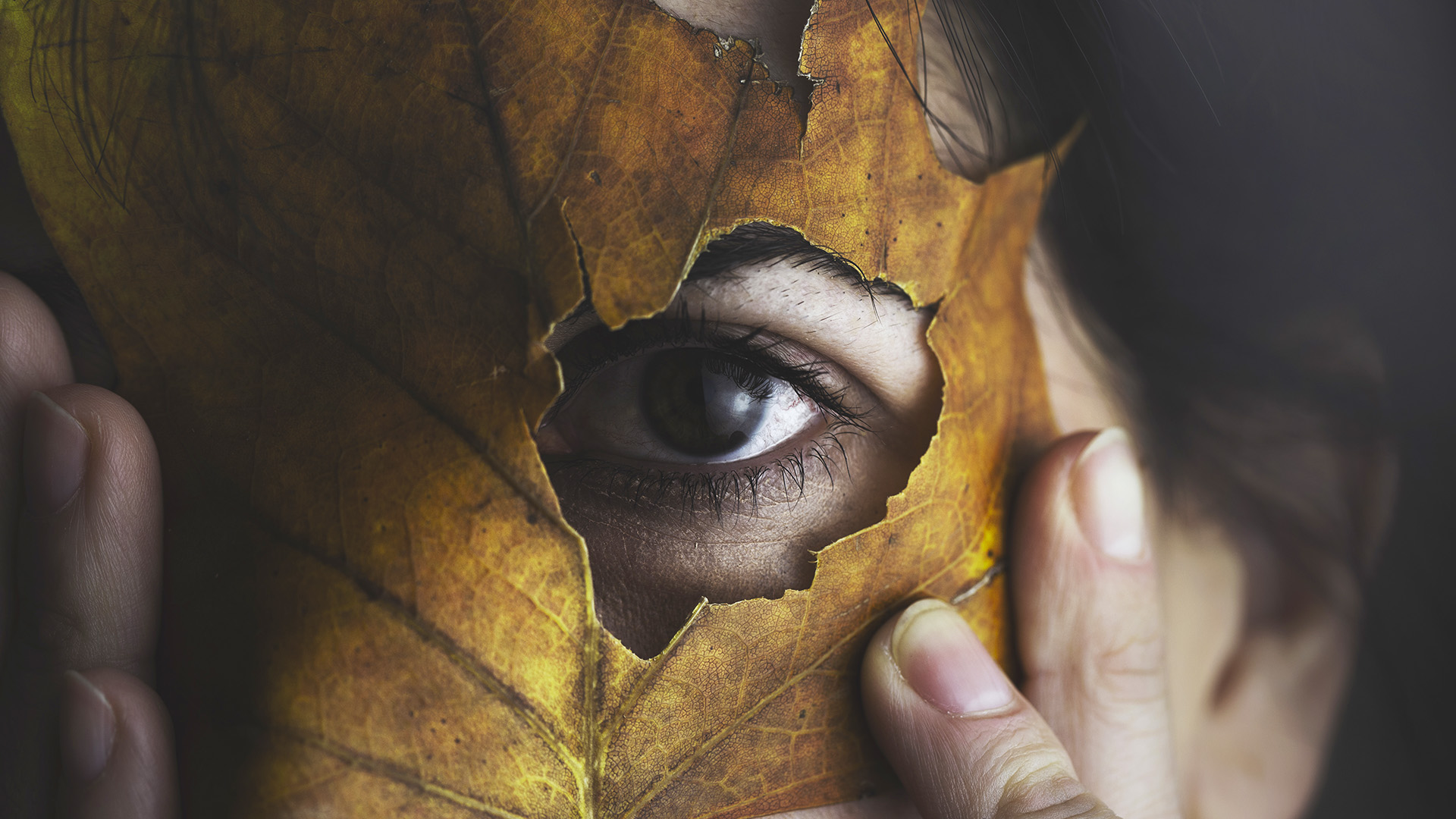 Frau verbirgt ihr Gesicht mit einem Herbstblatt, künstlerisches und kreatives Porträt