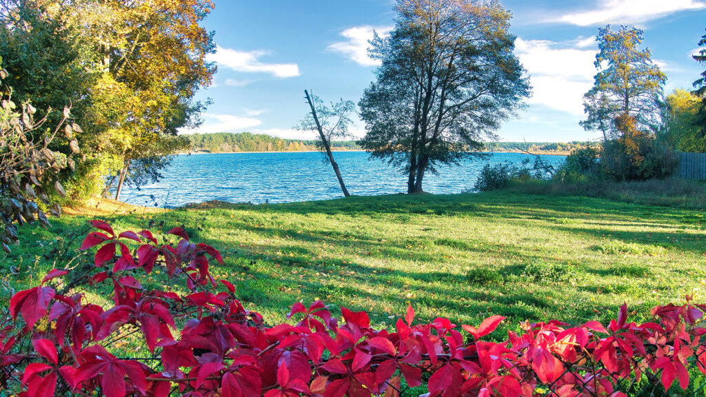 Landschaft mit Wiese, See und Bäume im Herbst